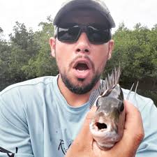 Sheepshead caught by white pelican in south county