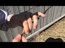 Résultat de recherche d'images pour "cleft grafting Peter"