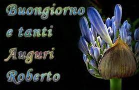 Ecco Cosa Scrivere Nei Messaggi Di Auguri Roberto Scarica Qui Gratis Frasi Immagini E Video Di Buon Compleanno B Buon Compleanno Buon Onomastico Onomastico
