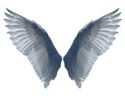 Wings Png28 Png 900 695 Wings Png Angel Wings Tattoo Angel Wings Art