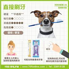 狗狗潔齒懶人包 直接刷牙篇用牙刷配合狗狗專用牙膏或防牙石啫喱 每星期最少刷兩至三次 就係最有效保效狗狗口腔清潔嘅方法 is it good to brush your dog s teeth directly tag 759onlinepetfeed for feat map words online
