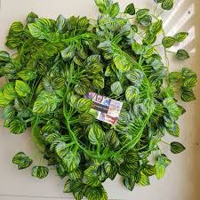 We did not find results for: Daun Rambat Semangka Kecil Panjang Sulur 2meter Shopee Indonesia