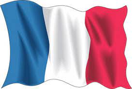 Esta bandera se ha usado como referencia para otros modelos. Significado De Colores De Bandera De Francia Banderas Del Creacion
