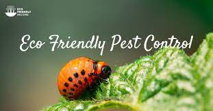 See more of nature's way natural pest control, inc. 9 Eco Friendly Pest Control Alternatives That Work
