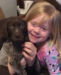 Katy German Shorthaired Pointer: available