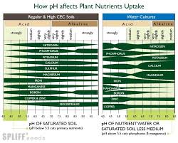 Bookfanatic89 Ph Plant Uptake Chart