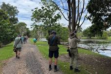 Social Birding at Warrina Lakes