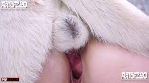 Pornoxxx animal