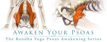 Maybe you would like to learn more about one of these? Awaken Your Psoas Bandha Yoga