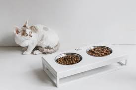 Elevated Bowl Stand For Cats And Small Dogs Feeding Stand Etsy In 2020 Cat Water Bowl Cat Bowls Cat Food Bowl
