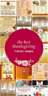 The first thanksgiving turkey on record to receive a reprieve was in 1963 when president john f previous turkeys have gone to disneyland and the unfortunately named frying pan park in virginia. N A M E S F O R T H A N K S G I V I N G Zonealarm Results