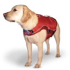 dog life vests