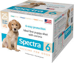 Puppies at least 6 weeks old receive a dose every two to four weeks. Canine Spectra 6 Durvet