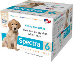 A puppy needs its shots as soon as its eyes open and when she/he is at least 2 months old. Canine Spectra 6 Durvet