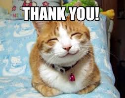 If you use one of the images on your website, please link to this page as the source. Meme Creator Funny Thank You Meme Generator At Memecreator Org