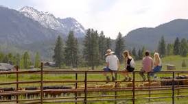 CATTLE BRANDING & PARTY