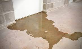 Find basement inspection now at getsearchinfo.com! Defect Inspection Water Damage To The Basement Building Inspection