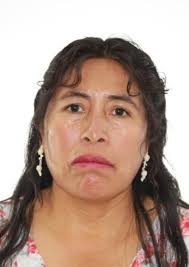 Antecedentes de Otorongos Elecciones 2022