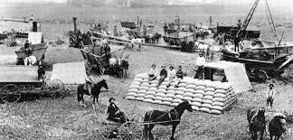 We did not find results for: Especial Historia De La Agricultura Parte Iii Agriculturers Com Red De Especialistas En Agricultura