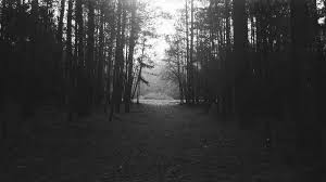Black And White Desktop Wallpaper Hd Forest Black And White Desktop Wallpapers Flip Wallpapers Download Free Wallpaper Hd Black And White Wallpaper White Wallpaper Desktop Wallpaper