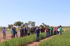 Spring Field Day — MINGENEW-IRWIN GROUP