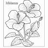 You can now print this beautiful hibiscus flower coloring page or color online for free. 1
