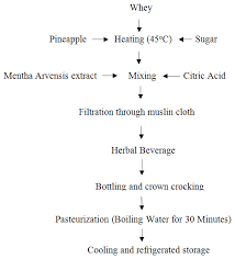 Process Flow Chart Of Whey Based Pineapple Herbal Mentha