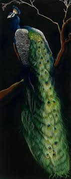 Peacock By Sally Maxwell Amazing Hyper Realist Artist Hayvan Tablolar Kus