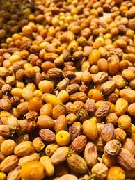 Image result for Berchemia discolor