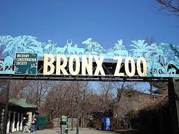 Bronx New York Bronx Zoo Photo Picture Image The Bronx New York New York Pictures Bronx Zoo