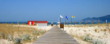 This place is situated in grandola, alentejo litoral, alentejo, portugal, its geographical coordinates are 38° 29' 0 north, 8° 54' 0 west and its original name (with diacritics) is praia de troia. Praia De Troia Gale Beach In Carvalhal Grandola Portugal