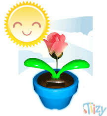 20+ trend terbaru animasi lebah bergerak. 990 Gambar Animasi Bergerak Hewan Dan Tumbuhan Gratis Terbaru Gambar Hewan