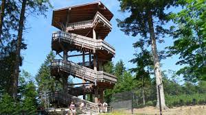 In 1950, the ludwigsthal dog sports association was founded, in 1977, ludwigsthal tennis club and, in 1981, the ludwigsthal fishing club. Tierpark Bayerischer Wald Haus Zur Wildnis Tierfreigehege Ludwigsthal