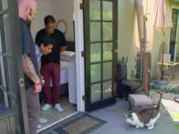 "My Cat from Hell" Buddha Bullies Hector (TV Episode 2013)