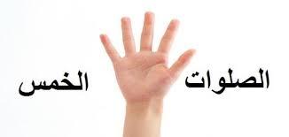 أنَّه كانَ إذَا أذَّنَ المُؤَذِّنُ وطَلَعَ الفَجْرُ صَلَّى رَكْعَتَيْنِ].٣. Ø¹Ø¯Ø¯ Ø±ÙƒØ¹Ø§Øª Ø§Ù„ØµÙ„ÙˆØ§Øª Ø§Ù„Ø®Ù…Ø³ Ø­Ø±ÙˆÙ Ø¹Ø±Ø¨ÙŠ