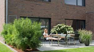 Kletterpflanzen als sichtschutz für garten, balkon und dachterrasse. Sichtschutz Terrasse Nachher Franks Kleiner Garten Willkommen In Franks Kleinem Garten