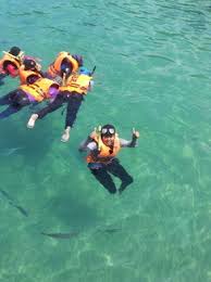 Pulau tioman adalah syurga tropika yang menakjubkan. All Categories My Blog