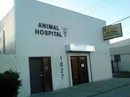 Vet stockton tennessee values your pets as much as you do. Geisert Animal Hospital Inc 1827 El Dorado Street Stockton Reviews And Appointments Topvet
