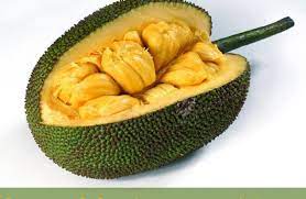 Sumatra, borneo, sulawesi, maluku hingga ke papua. Cempedak Fruit Facts And Health Benefits