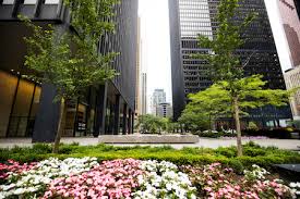 See salaries, compare reviews, easily apply, and get hired. A Closer Look Living Learning And Working In Toronto