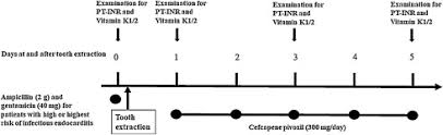 Alterations Of Serum Vitamin K Levels And Prothrombin Time International Normalized Ratio During Tooth Extractions Among Patients Receiving Warfarin Sciencedirect