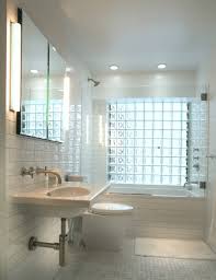 Tambén is a material that protects you and allows light, are decorative. Glass Block Bathroom Ideas Houzz