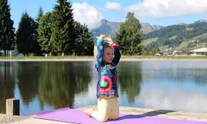 Température, pluie/neige, vent, humidité, pression,. Location Propriete De Luxe L Ete A Les Gets Les Portes Du Soleil