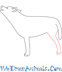 How to draw a wolf howling. How To Draw A Wolf Howling
