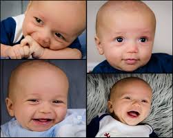 Denise Robison Photography