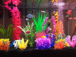 Colorful Glofish Tank Fish Tank Themes Glofish Tank Fish Tank Decorations