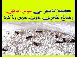 كيفية التخلص من سوس الدقيق ونصائح للتخزين بدون سوس ولا دود youtube food condiments