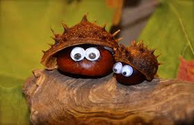 Pin Von Jette Bertore Auf Herbst Basteln Kastanienmannchen Basteln Herbstdeko Basteln Naturmaterialien Herbstbastelprojekte