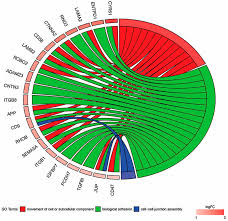 We did not find results for: Ijms Free Full Text Significant Down Regulation Of Biological Adhesion Genes In Porcine Oocytes After Ivm Html