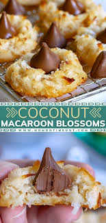 Coconut Macaroon Blossoms Tasty Baking Coconut Recipes Cookies Recipes Christmas